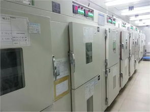 豪雅100全球工廠直供系統之工廠大揭秘 大田大明篇